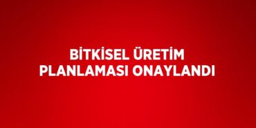 26446209942614426960tasarimli