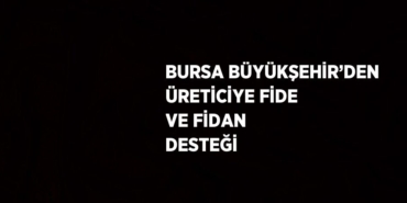 26446226852629931125
