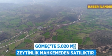 26452256822469227569tasarimli