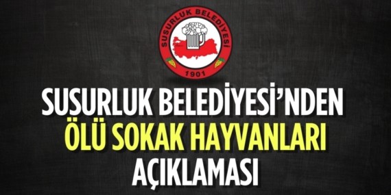 SUSURLUK BELEDİYESİ’NDEN  ÖLÜ SOKAK HAYVANLARI AÇIKLAMASI