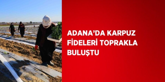 ADANA’DA KARPUZ FİDELERİ TOPRAKLA BULUŞTU
