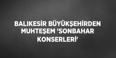 26470290052905431569tasarimli