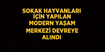 26470307882998325594tasarimli