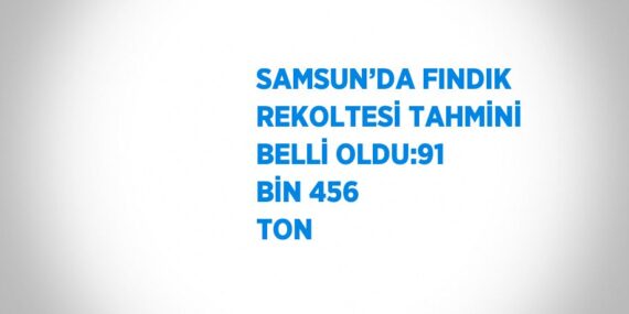 SAMSUN’DA FINDIK REKOLTESİ TAHMİNİ BELLİ OLDU:91 BİN 456 TON