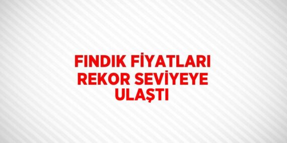FINDIK FİYATLARI REKOR SEVİYEYE ULAŞTI