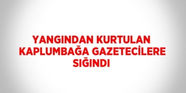 26478231623175022639tasarimli