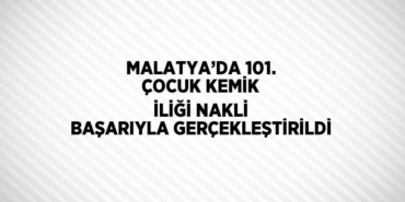 26482301742201630217tasarimli