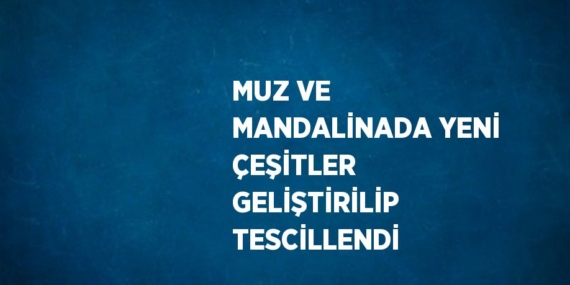 MUZ VE MANDALİNADA YENİ ÇEŞİTLER GELİŞTİRİLİP TESCİLLENDİ