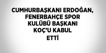 26494252602571120009tasarimli