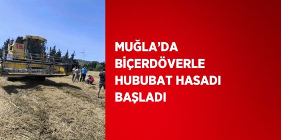 MUĞLA’DA BİÇERDÖVERLE HUBUBAT HASADI BAŞLADI