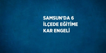 26498280592924921461