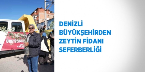 DENİZLİ BÜYÜKŞEHİRDEN ZEYTİN FİDANI SEFERBERLİĞİ