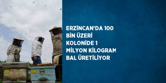 ERZİNCAN’DA 100 BİN ÜZERİ KOLONİDE 1 MİLYON KİLOGRAM BAL ÜRETİLİYOR