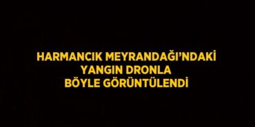 26514248932970822979tasarimli