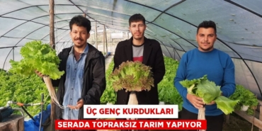 26516229372477831701tasarimli