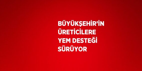 BÜYÜKŞEHİR’İN ÜRETİCİLERE YEM DESTEĞİ SÜRÜYOR