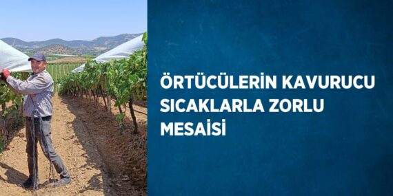 ÖRTÜCÜLERİN KAVURUCU SICAKLARLA ZORLU MESAİSİ