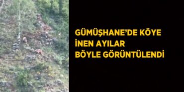 26521202503190824047