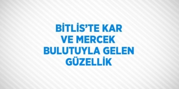 26521228472566628001tasarimli