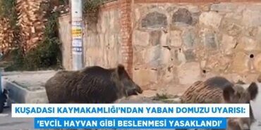 26543288622109627807tasarimli