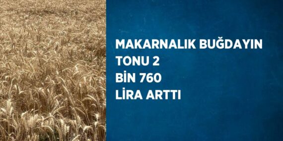 MAKARNALIK BUĞDAYIN TONU 2 BİN 760 LİRA ARTTI