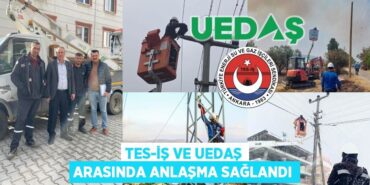 26546300122019028580tasarimli