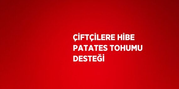 ÇİFTÇİLERE HİBE PATATES TOHUMU DESTEĞİ