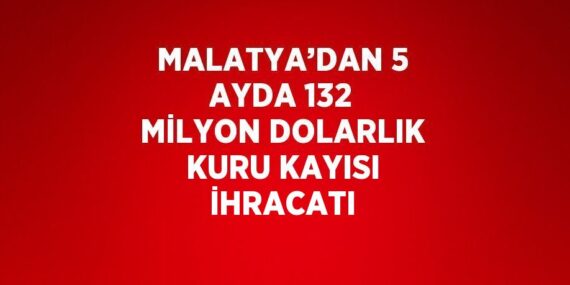 MALATYA’DAN 5 AYDA 132 MİLYON DOLARLIK KURU KAYISI İHRACATI
