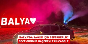 26550293622958825217tasarimli