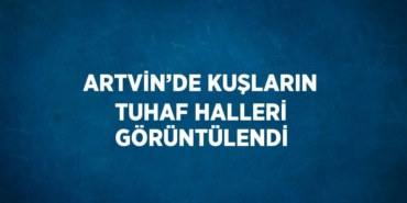 26555283182767831443tasarimli