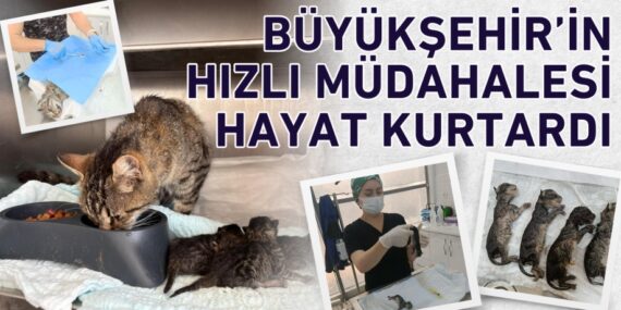 BÜYÜKŞEHİR’İN HIZLI MÜDAHALESİ HAYAT KURTARDI