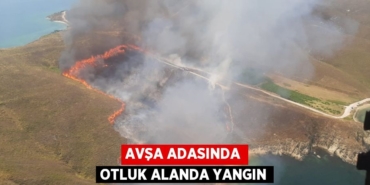 26560272672005630903tasarimli