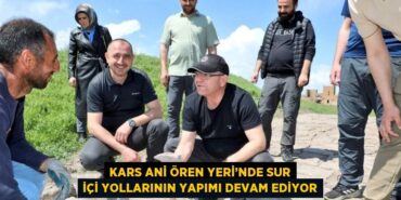 26566319162985428649tasarimli