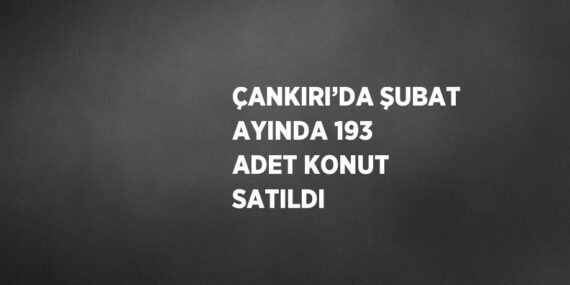 ÇANKIRI’DA ŞUBAT AYINDA 193 ADET KONUT SATILDI