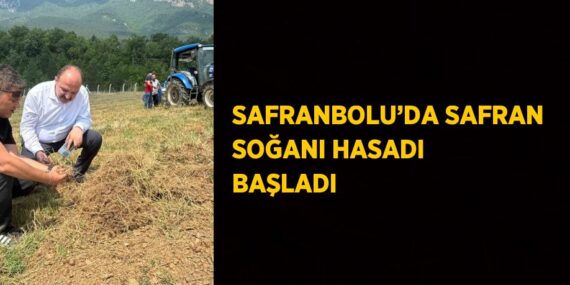 SAFRANBOLU’DA SAFRAN SOĞANI HASADI BAŞLADI
