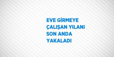 26573228102486222000