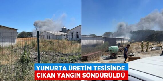 Yumurta üretim tesisinde çıkan yangın söndürüldü