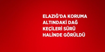 26574254442764025680