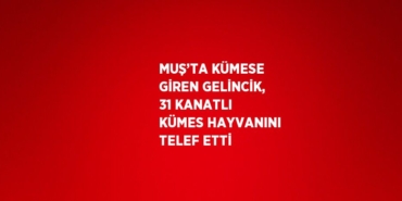 26591266262409222454