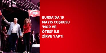 26592261902232422023