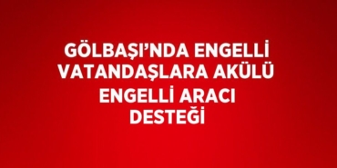 26602314952352128848tasarimli