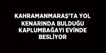 26614298772616723939tasarimli