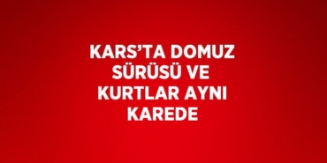26615206652532822048tasarimli