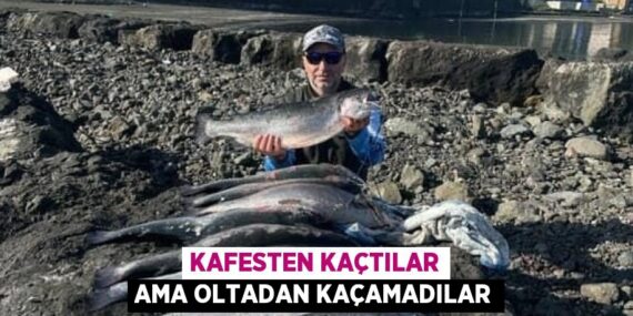 KAFESTEN KAÇTILAR AMA OLTADAN KAÇAMADILAR