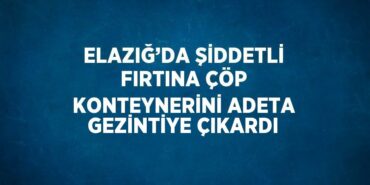 26623296852155925633tasarimli