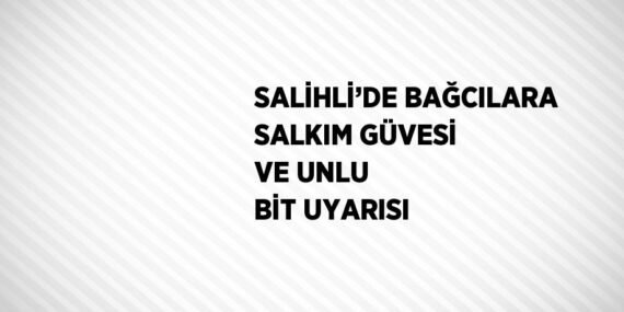 SALİHLİ’DE BAĞCILARA SALKIM GÜVESİ VE UNLU BİT UYARISI