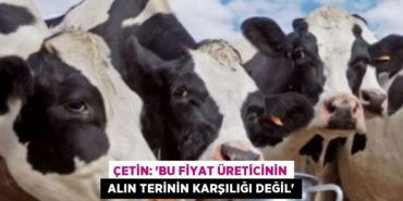 26638202762544223644tasarimli