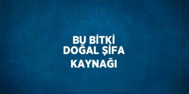 26640227522990127584tasarimli