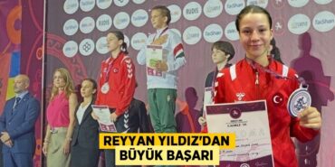 26645316893002920824tasarimli