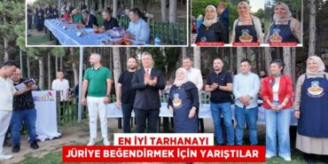 26646221052689625581tasarimli